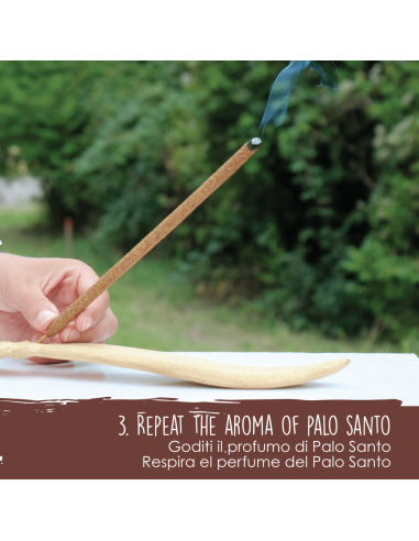 Palo Santo Incense Sticks with Cinnamon