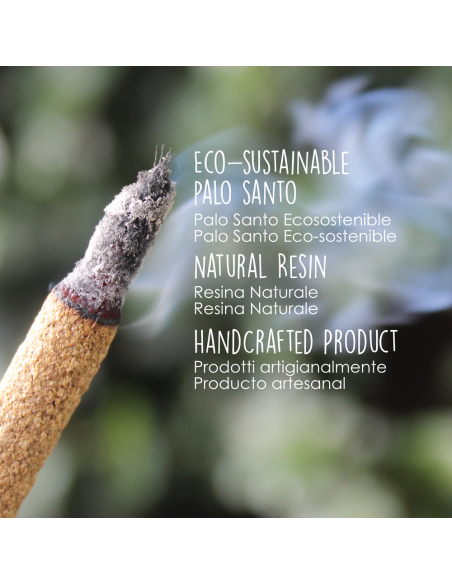 Palo Santo Incense Sticks with Cinnamon