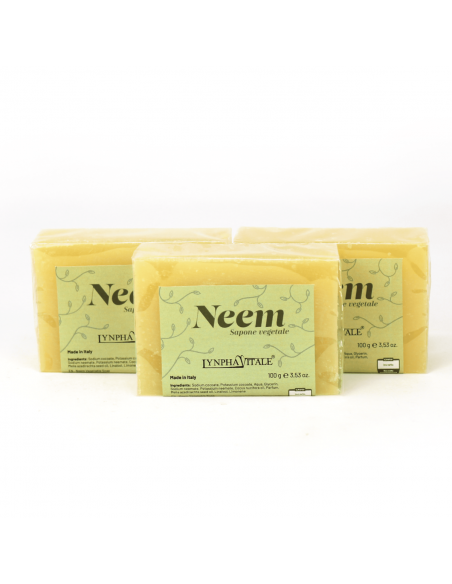Jabón de Aceite de Neem