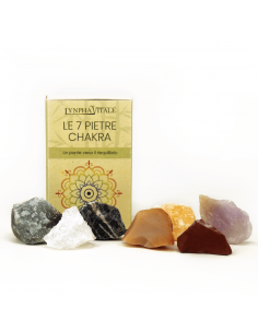 7 Chakra Piedras en bruto