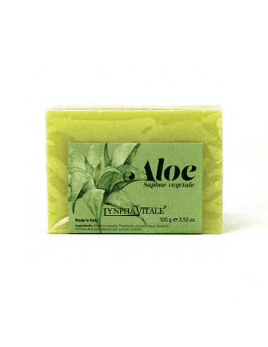 Saponetta All'Aloe Vera
