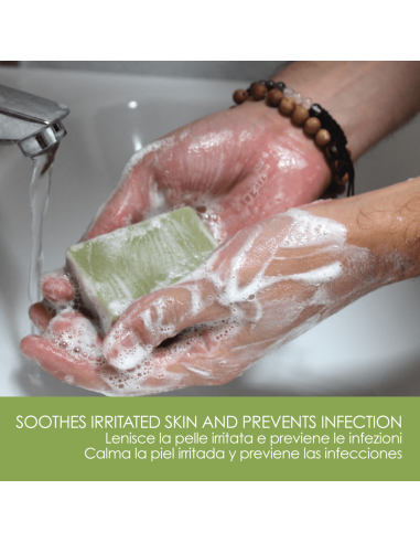 Savon Aloe Vera