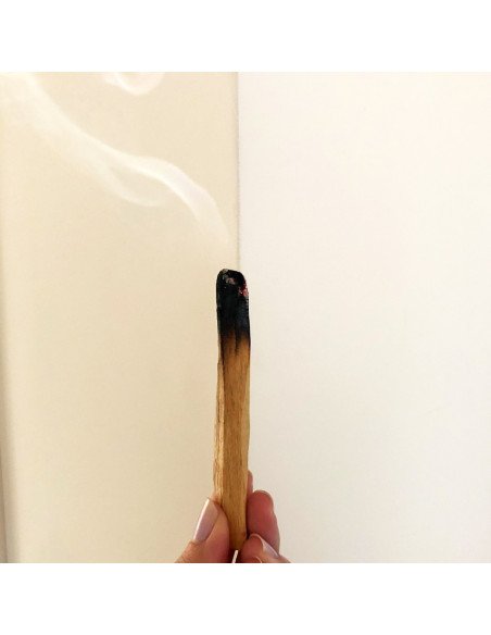 Palo Santo 'Amarillo' Stick aus Ecuador - 100% natürliche und nachhaltige Räucherung