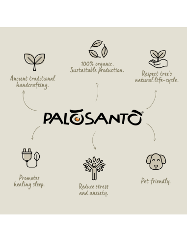 Palo Santo Incense Sticks with White...