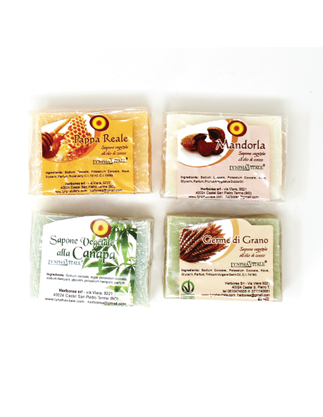 Kit de 4 Savons Artisanaux – Amande, Germe de Blé, Gelée Royale, Chanvre