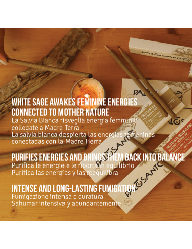 Palo Santo Incense Sticks with White...