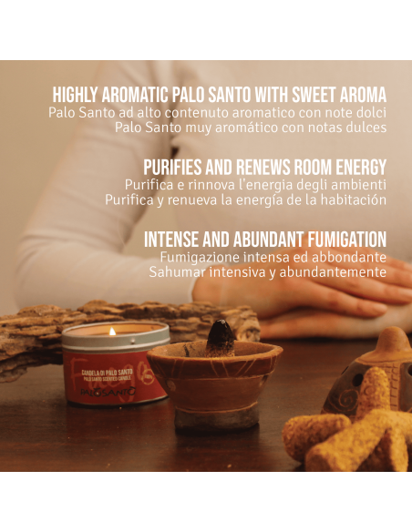 Palo Santo Seleccion Incense Cones