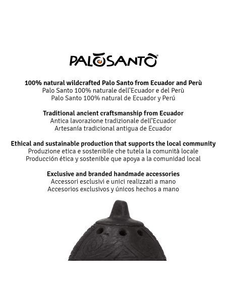 Brûleur d'encens + Graines de Palo Santo 80 gr + 6 cônes de Palo Santo + Charbons de bois - Kit de Palo Santo