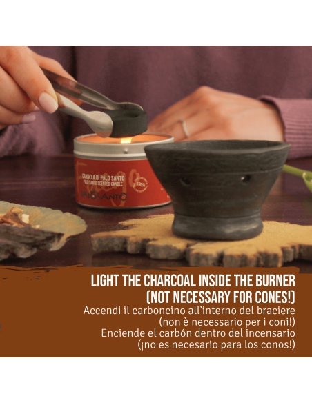 Brûleur d'encens + Graines de Palo Santo 80 gr + 6 cônes de Palo Santo + Charbons de bois - Kit de Palo Santo