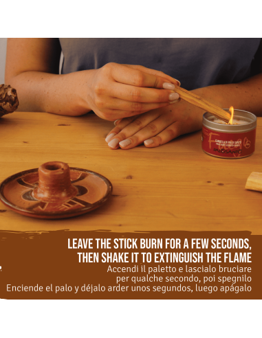 Incense Holder + Palo Santo variety:...