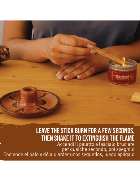 Porta Incienso + Variedad de Palo Santo: 5 Palitos Amarillo - 5 Palitos Selección - 3 Palitos Especial