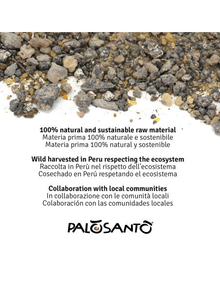 Résine de Palo Santo Seleccion