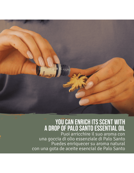 Colgante Rodaja de Palo Santo