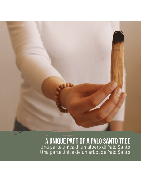 Palo Santo Bracelet