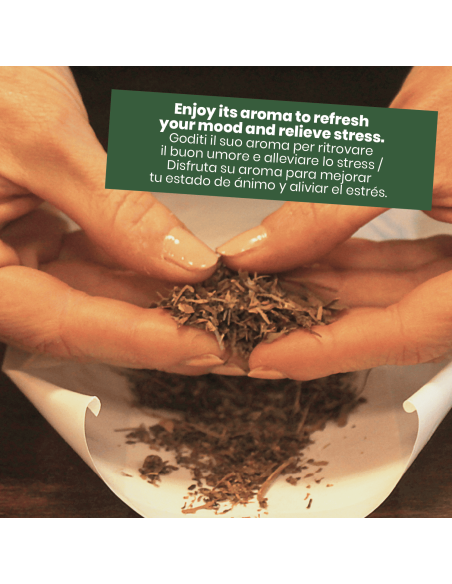 Nirdosh® Mélange d'Herbes Ayurvédiques 100% Naturel