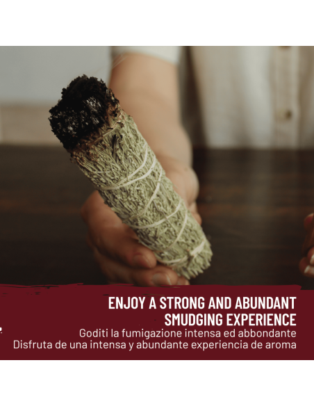 Salvia del Deserto Smudge Incenso Naturale e Ecosostenibile
