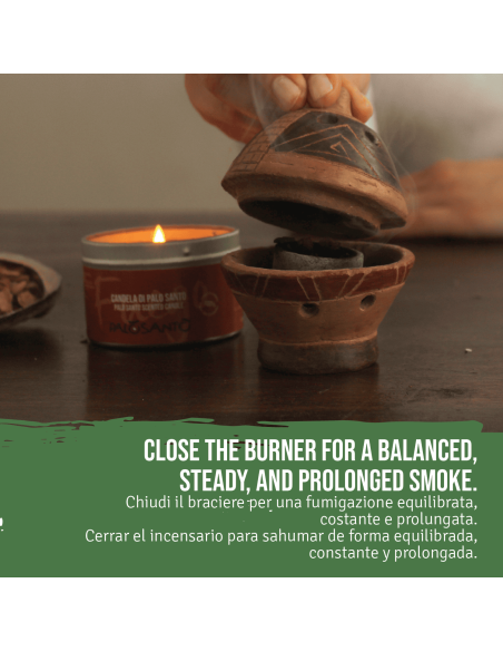 Graines de Bois de Palo Santo 'Especial' - Encens Naturel et Durable