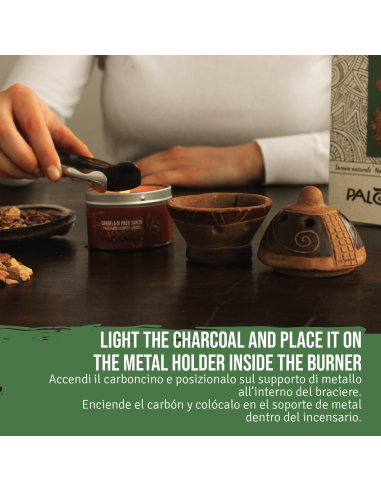 Graines de Bois de Palo Santo...
