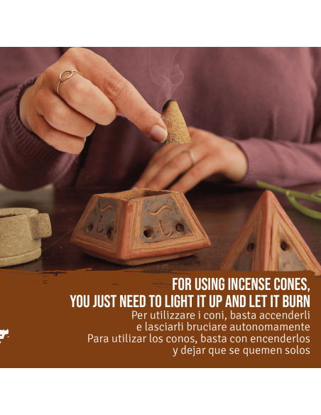 Brûleur d'encens + Poudre de Palo Santo 80 gr + 6 Cônes de Palo Santo + Charbons de bois - Kit de Palo Santo