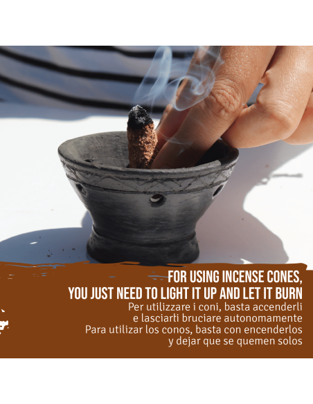 Brûleur d'encens + Graines de Palo Santo 80 gr + 6 cônes de Palo Santo + Charbons de bois - Kit de Palo Santo