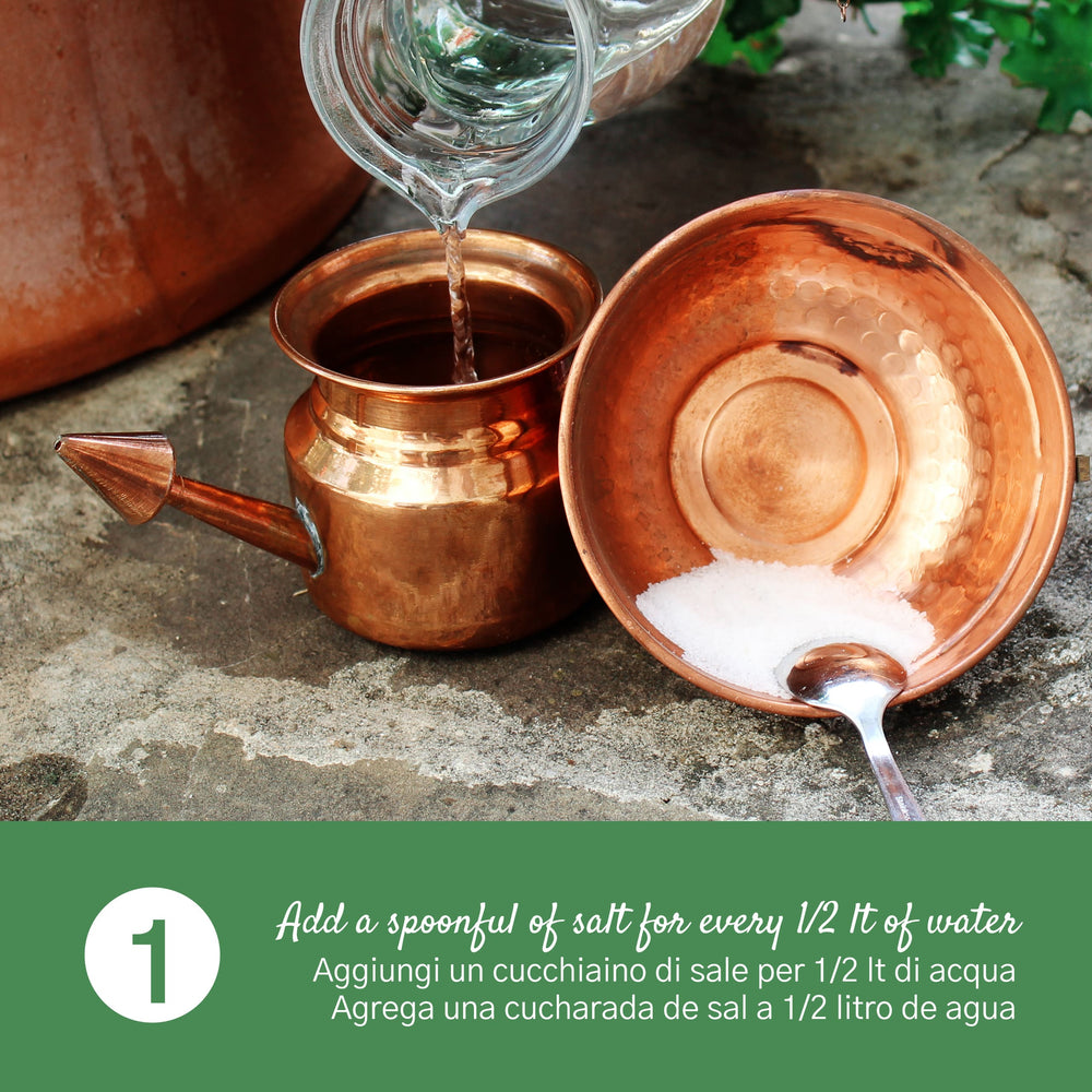 Neti Pot In Rame per Lavaggi Nasali Rimedio Ayurvedico Neti Lota - dettaglio 4